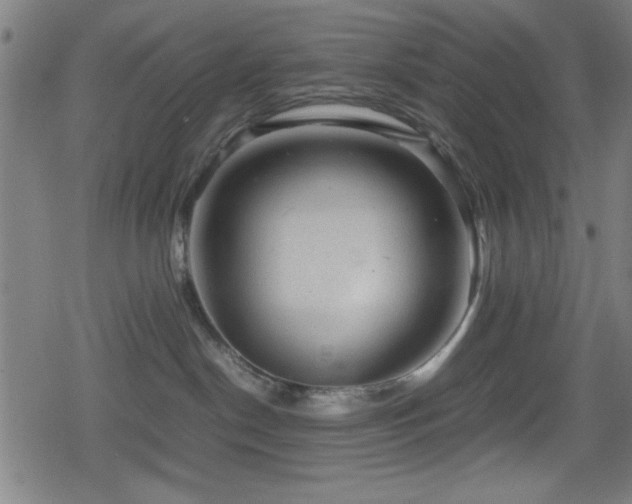 X0000078860190200611131212