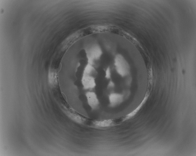 X0000078860191200611131212