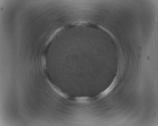 X0000078860192200611131212