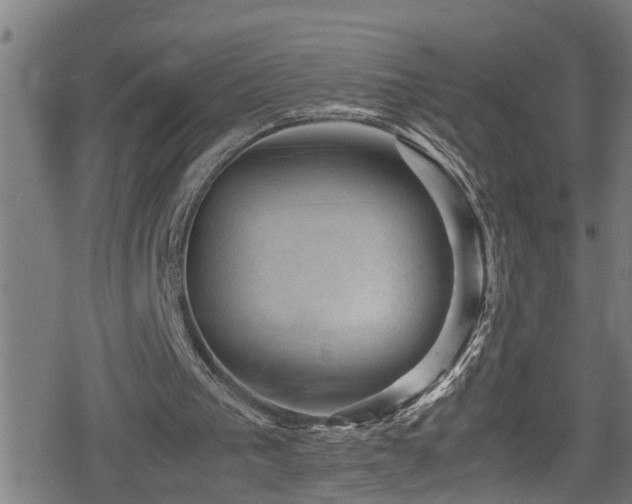 X0000078860193200611131211