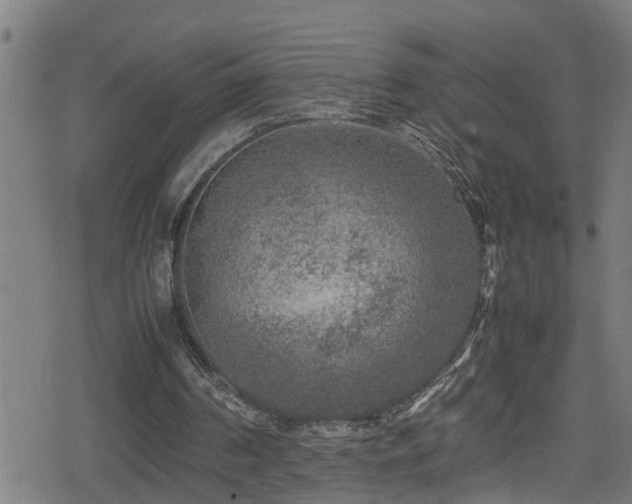 X0000078860194200611131211