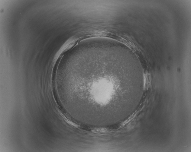 X0000078860195200611131211