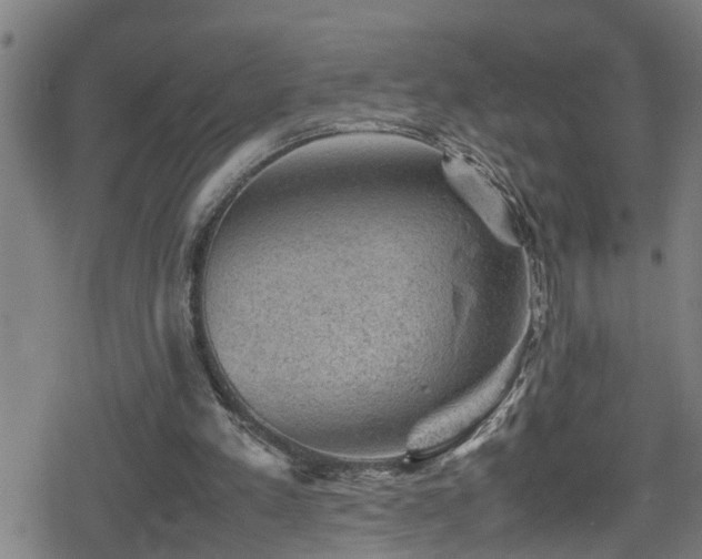 X0000078860197200611131211