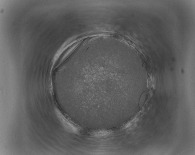 X0000078860198200611131211