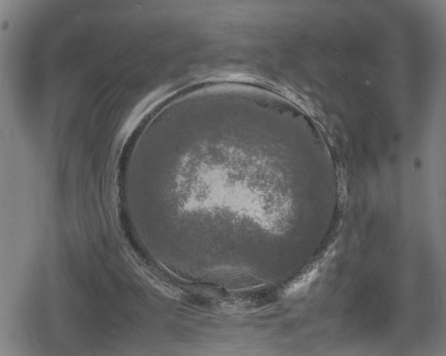 X0000078860199200611131211