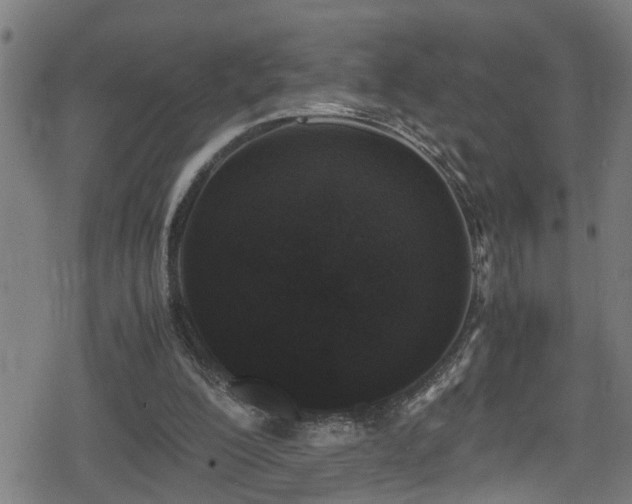 X0000078860200200611131211