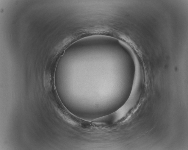 X0000078860201200611131211