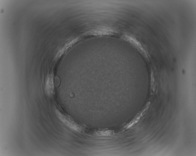 X0000078860202200611131211