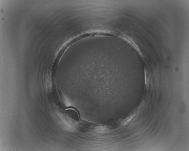 X0000078860204200611131211