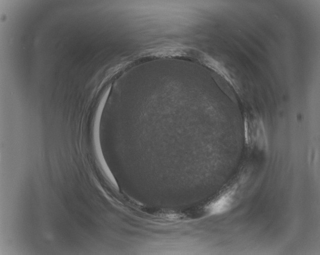 X0000078860205200611131211