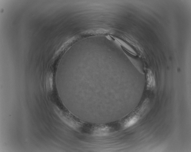 X0000078860206200611131211