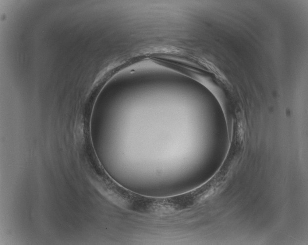 X0000078860207200611131211