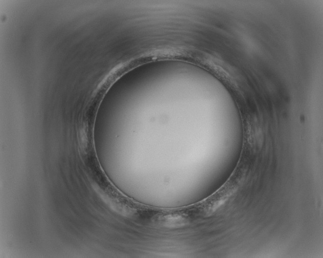 X0000078860208200611131211