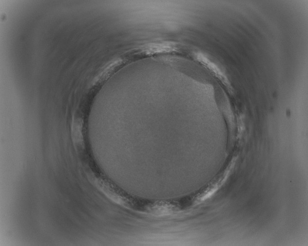 X0000078860209200611131211