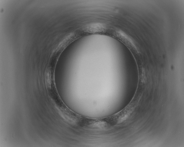 X0000078860210200611131211