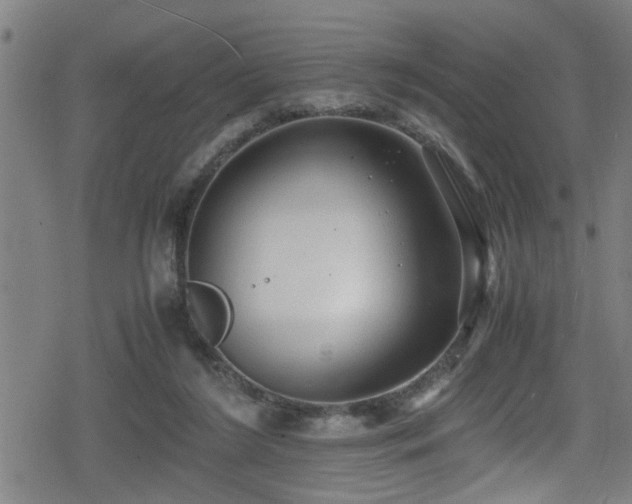 X0000078860212200611131211