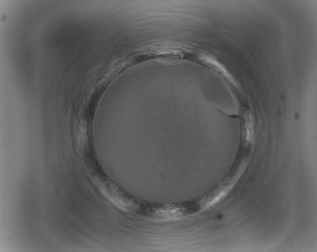 X0000078860213200611131211