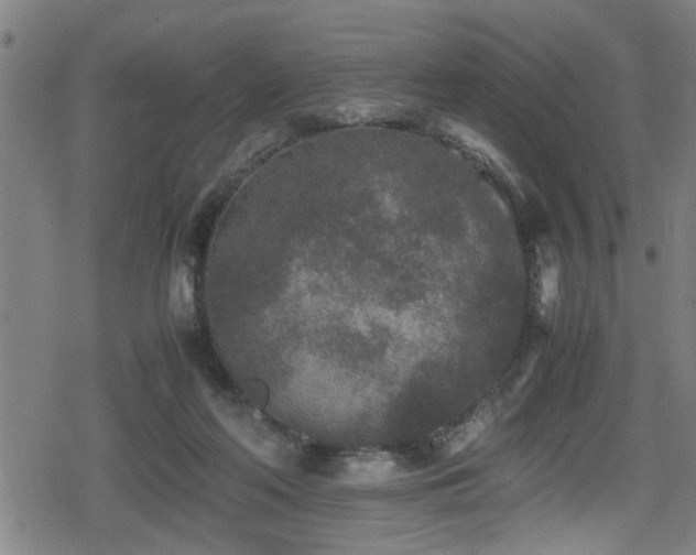 X0000078860214200611131211