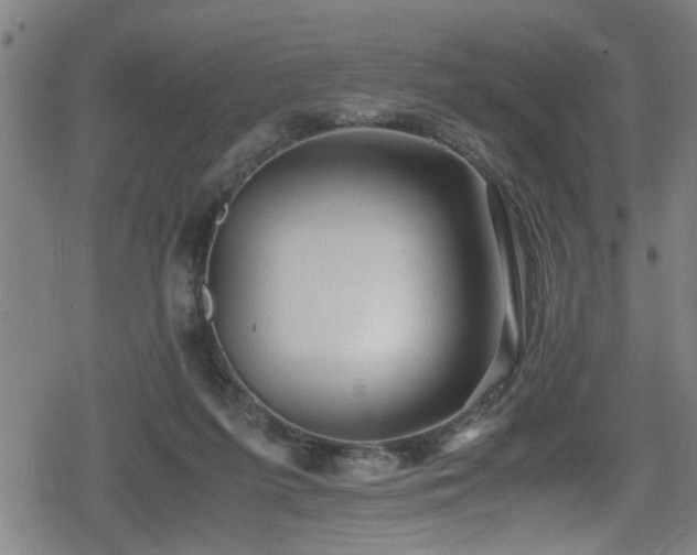 X0000078860215200611131211