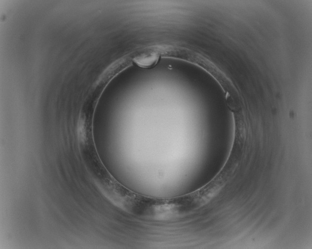 X0000078860216200611131211