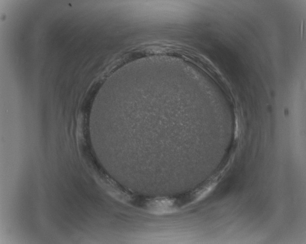 X0000078860217200611131211