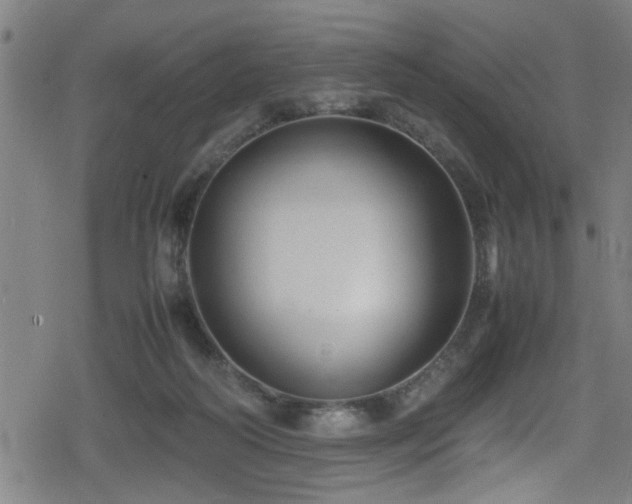 X0000078860218200611131211