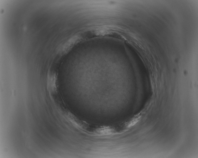 X0000078860219200611131211