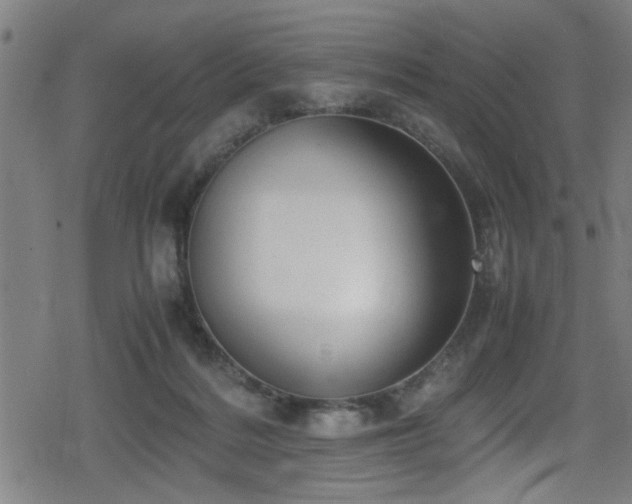 X0000078860220200611131211