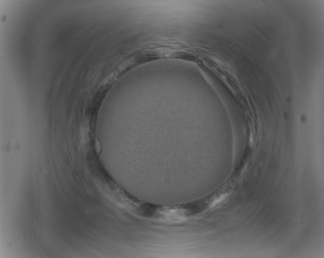 X0000078860221200611131211