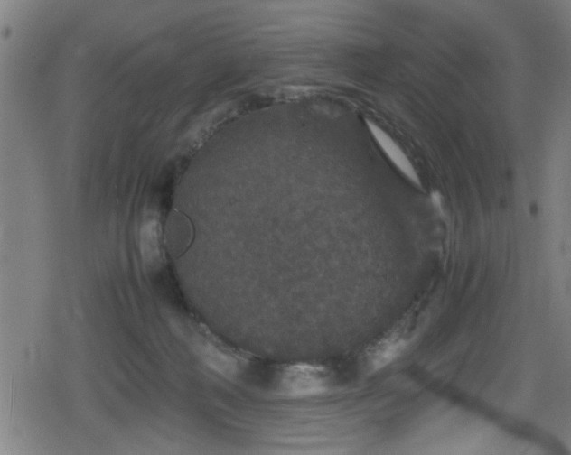 X0000078860222200611131211