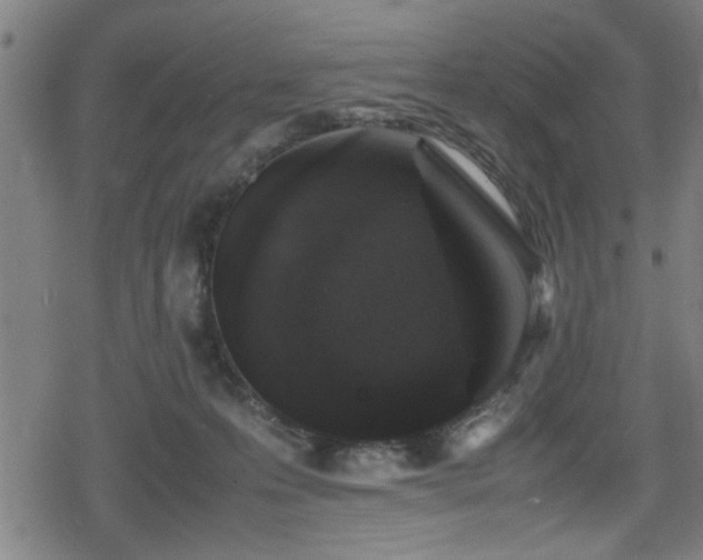 X0000078860223200611131211