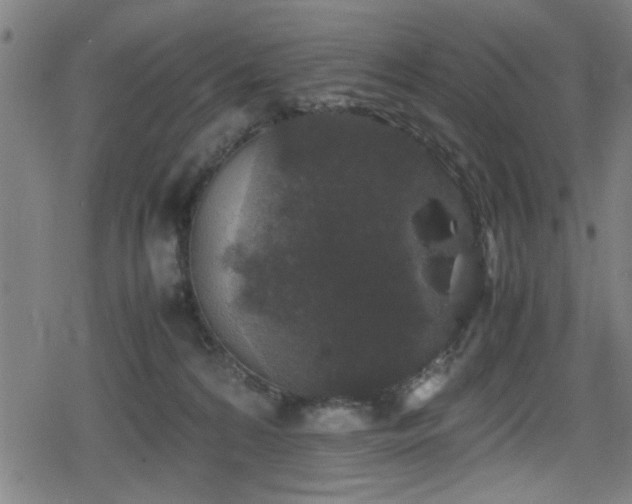 X0000078860224200611131211