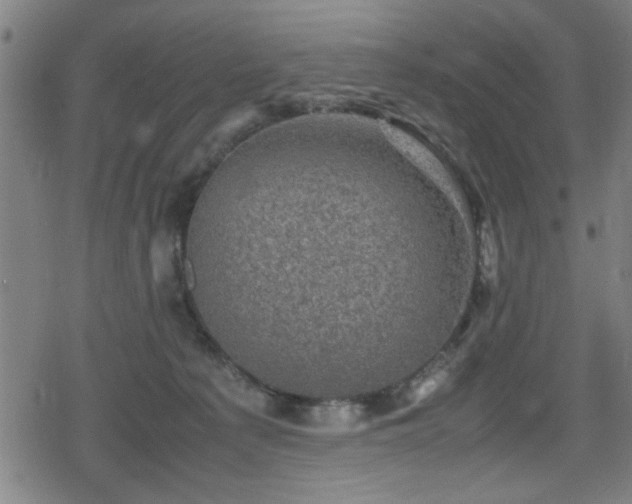 X0000078860225200611131211