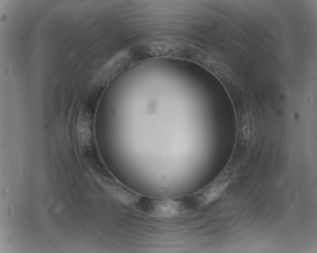 X0000078860226200611131211