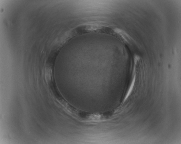 X0000078860227200611131211