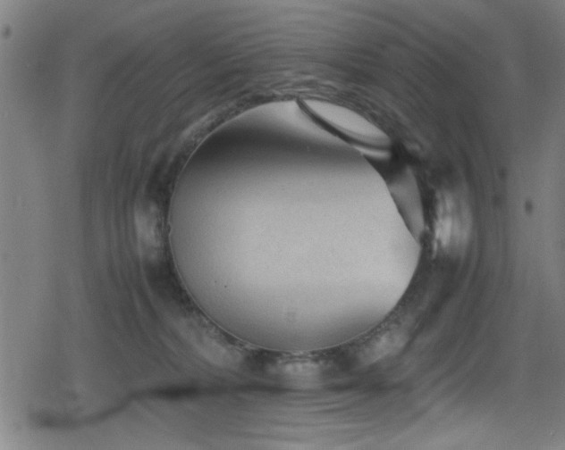 X0000078860228200611131211