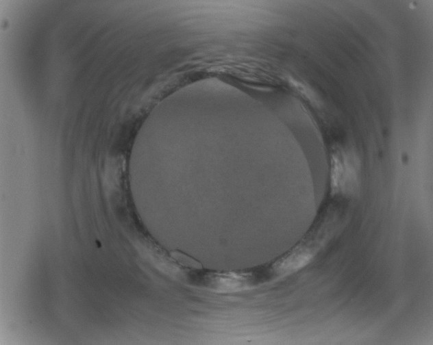 X0000078860229200611131211