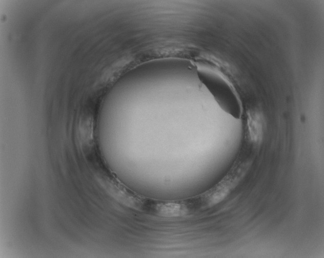 X0000078860230200611131211