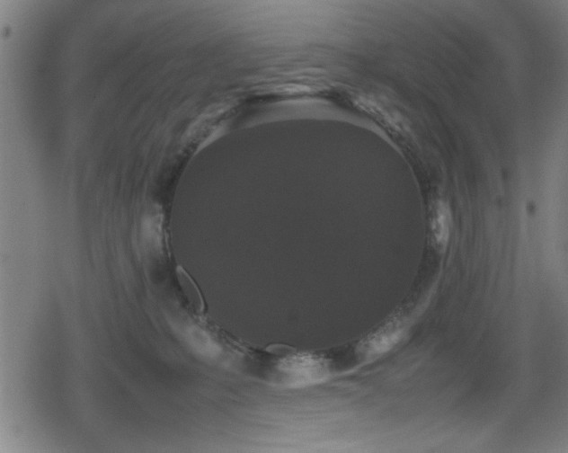 X0000078860231200611131211