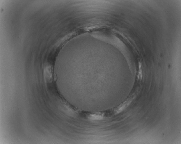 X0000078860232200611131211