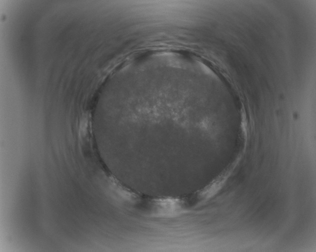 X0000078860233200611131211