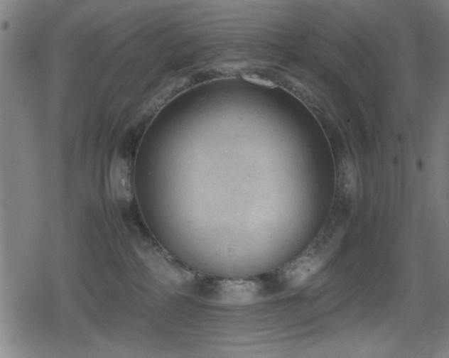 X0000078860234200611131211