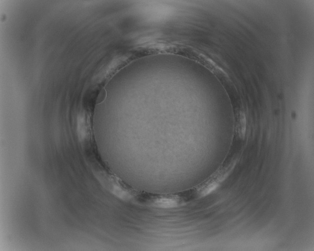 X0000078860236200611131211