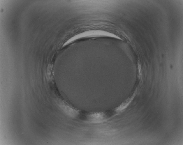 X0000078860237200611131211