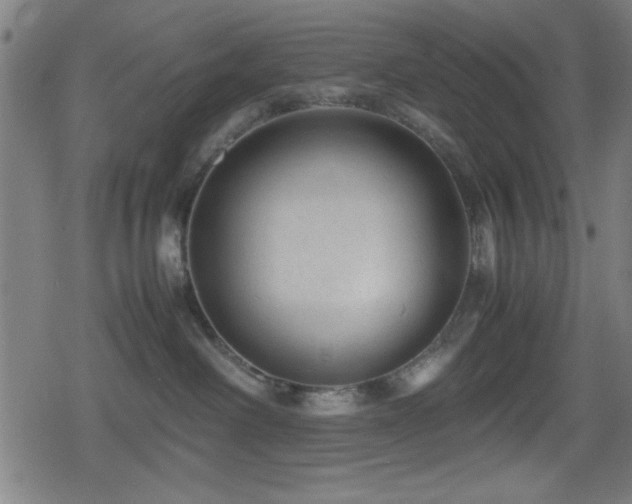 X0000078860238200611131211