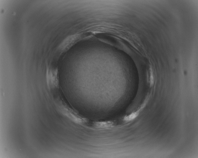 X0000078860239200611131211