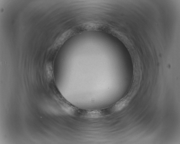 X0000078860240200611131211