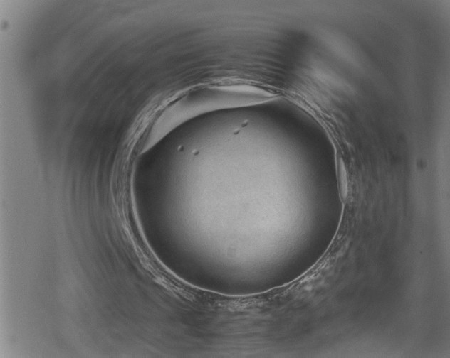 X0000078860241200611131210