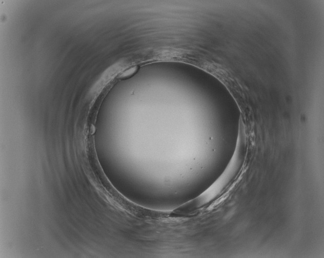 X0000078860242200611131210