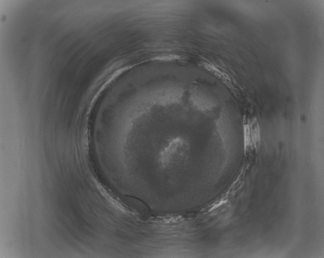 X0000078860243200611131210